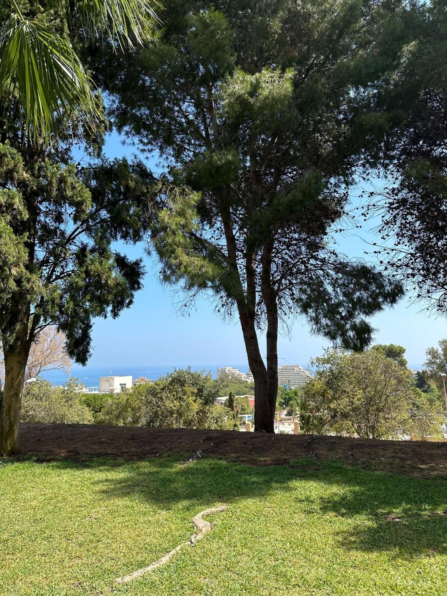 Benalmadena Gamonal Apartment มาลากา ภายนอก รูปภาพ